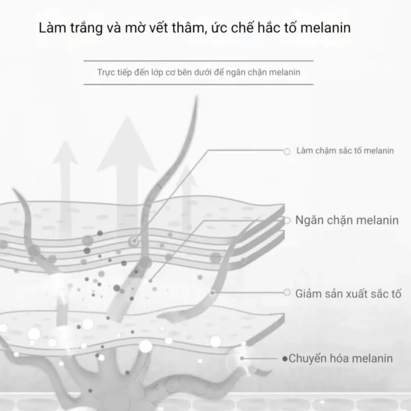 Bộ Đôi Dưỡng Ẩm Trắng Da, Mờ Thâm Nám - Hình ảnh 7