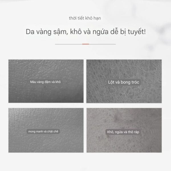 Body Lotion Dưỡng Ẩm Trắng Da Kans - Hình ảnh 3