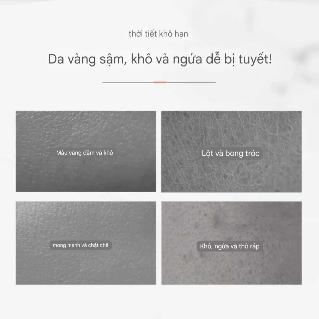Body Lotion Dưỡng Ẩm Trắng Da Kans - Ảnh 3